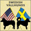 Swedish Vallhunds