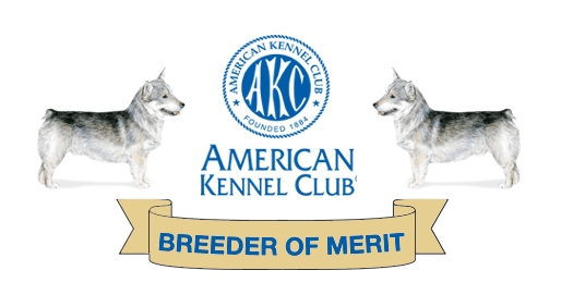 American Kennel Club Breeder of Merit