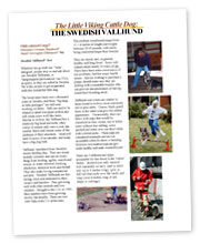 FETCH Article
